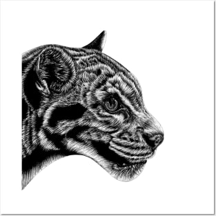 Clouded leopard Posters and Art